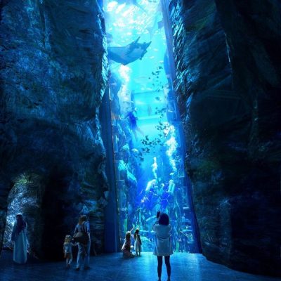CABpYPIQ-seaworld-abu-dhabi3-1200x800
